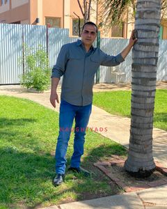 Image of  Male Escort Ayman Youssif
