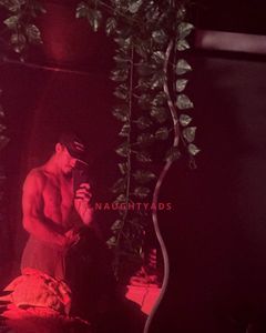 Image of Adelaide Male Escort Damian Thorne