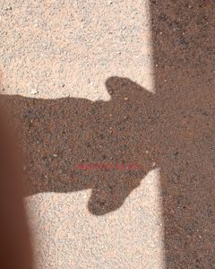 Image of Adelaide Male Escort Shane 