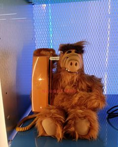 Image of  Escort Sultry Sarah Robbins