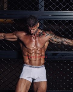 Image of Sydney Male Escort Calvin Carter