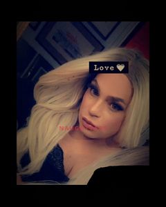 Image of Sydney Trans Escort Miss Bree-Dior