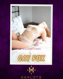 Image of Canberra Escort Cat Fox  0480 090 150