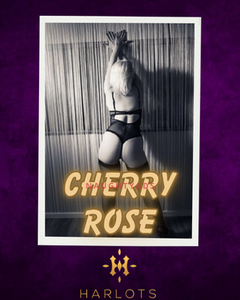 Image of Canberra Escort Cherry Rose 0480 094 199