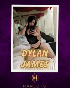 Image of Canberra Escort Dylan 0480 094 199