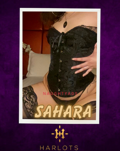 Image of Canberra Escort Sahara Grey  0480 094 199