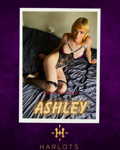 Image of Canberra Trans Escort Ashley 0488 862 560