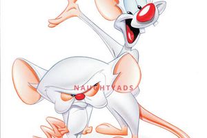 Is this where I was meant to be? - Naughty Ads Escort Blog