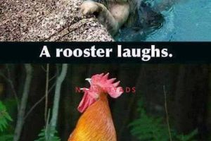 Violet Pûnani's Latest Trick - Naughty Ads Escort Blog