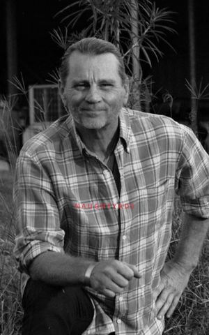 Image of Sunshine Coast Male Escort Seb Cornelius