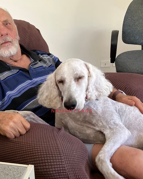 Image of Gawler Male Body Rub Raymond