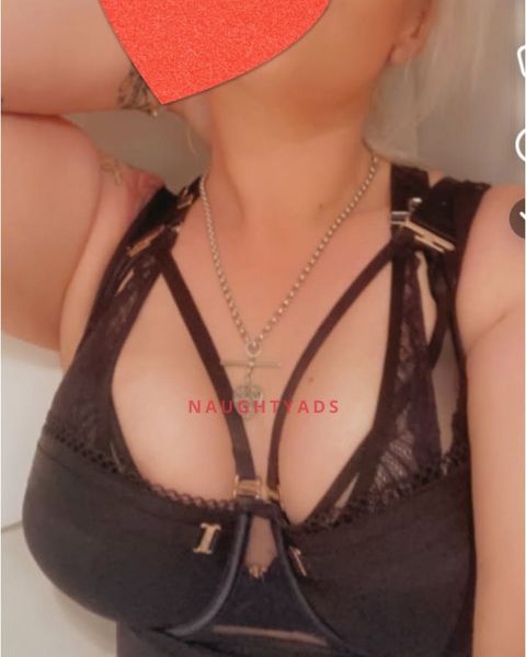 Image of Brisbane Escort Nikki