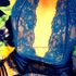 Thumbnail Image 7 of Adelaide Escort Number23