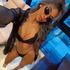 Thumbnail Image 1 of Melbourne Escort Amanda 