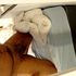 Thumbnail Image 3 of Melbourne Male Escort Sachin