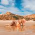 Thumbnail Image 0 of Adelaide Escort EmpressPink