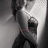 Thumbnail Image 4 of Adelaide Escort Jessie J