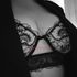 Thumbnail Image 0 of Adelaide Escort Sam44