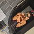 Thumbnail Image 1 of Adelaide Escort Sammy 