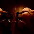 Thumbnail Image 9 of Brisbane Body Rub Jacklyn