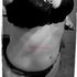 Thumbnail Image 6 of Brisbane Escort Classy Cleo