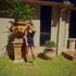 Thumbnail Image 4 of Brisbane Escort Kamisutra 