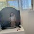Thumbnail Image 6 of Brisbane Escort Kenzie