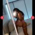 Thumbnail Image 1 of Brisbane Escort Molly Milz