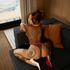 Thumbnail Image 7 of Brisbane Escort Sadie Auclaire
