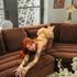 Thumbnail Image 3 of Brisbane Escort Sadie Auclaire