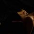Thumbnail Image 6 of Adelaide Escort Jess Evans