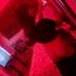 Thumbnail Image 2 of Cairns Trans Escort Pixie