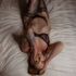 Thumbnail Image 4 of Canberra Escort CC Rose