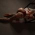 Thumbnail Image 2 of Canberra Escort CC Rose