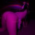 Thumbnail Image 4 of Canberra Escort Cherry Adams 0488 862 540