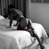 Thumbnail Image 9 of Brisbane Escort Athena Alexandris