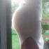 Thumbnail Image 5 of Hobart Escort Massage4u Call 0417198019