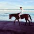 Thumbnail Image 0 of Gold Coast Male Escort Tommy Hart