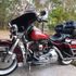 Thumbnail Image 6 of Sunshine Coast Male Escort Seb 