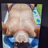 Thumbnail Image 1 of Ipswich Male Escort Darren