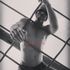 Thumbnail Image 0 of Adelaide Male Escort Bigby 