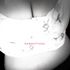 Thumbnail Image 5 of Perth Escort Sarahlovely