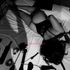 Thumbnail Image 3 of Melbourne Adult Content Creator Zara