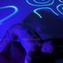 Thumbnail Image 1 of Melbourne Escort Bunny