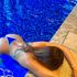 Thumbnail Image 3 of Melbourne Escort Carolina