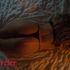Thumbnail Image 1 of Melbourne Escort CLUB KEYS