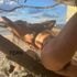 Thumbnail Image 3 of Melbourne Escort Fern