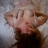 Thumbnail Image 3 of Melbourne Escort Ginger 