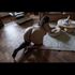 Thumbnail Image 8 of Melbourne Escort Izzy