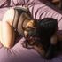 Thumbnail Image 7 of Melbourne Escort Janessa Lovely